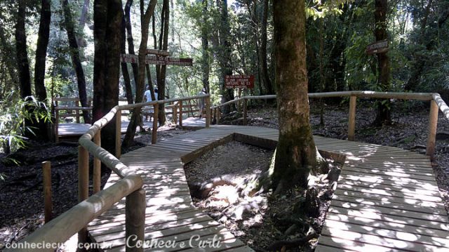 Ojos del Caburgua, trilhas para acesso aospoços naturais. Pucón - Chile.