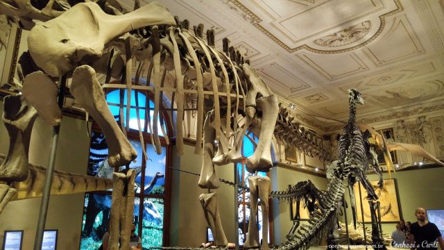 Sala dos Dinossauros no Museu de História Natural de Viena,