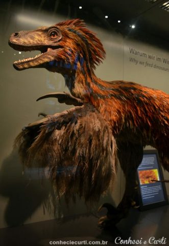 Museu de Viena, Dinobird.